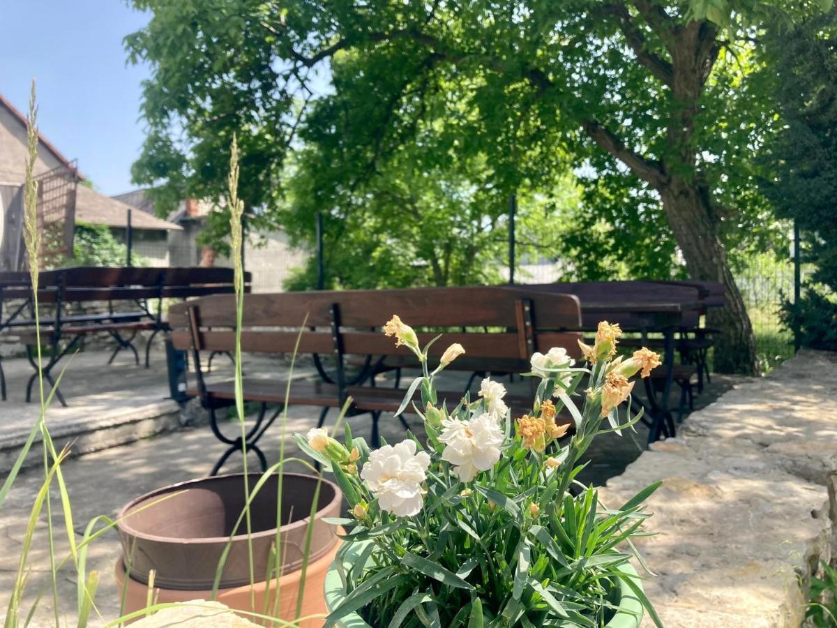 Bed&Breakfast Mikunda Chrzanów 外观 照片